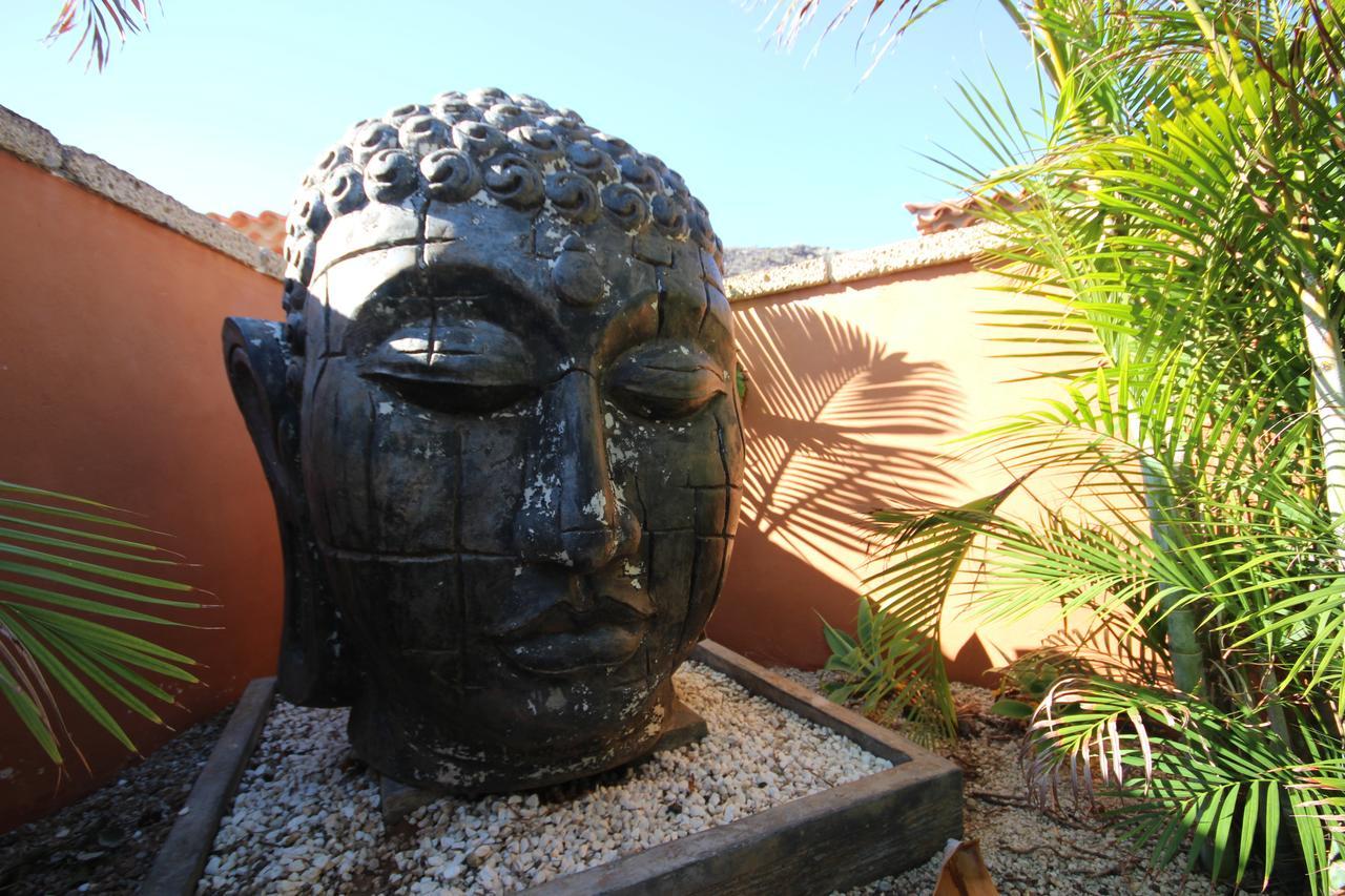 ארונה Villa Jardin De Buda מראה חיצוני תמונה